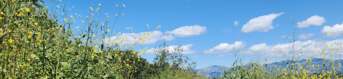 Hernandez Family Childcare Home
